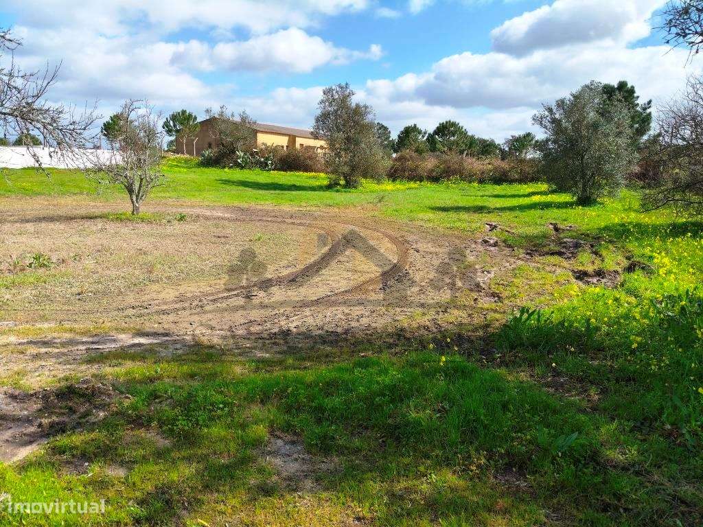 Vendas Novas - Lote de terreno-5