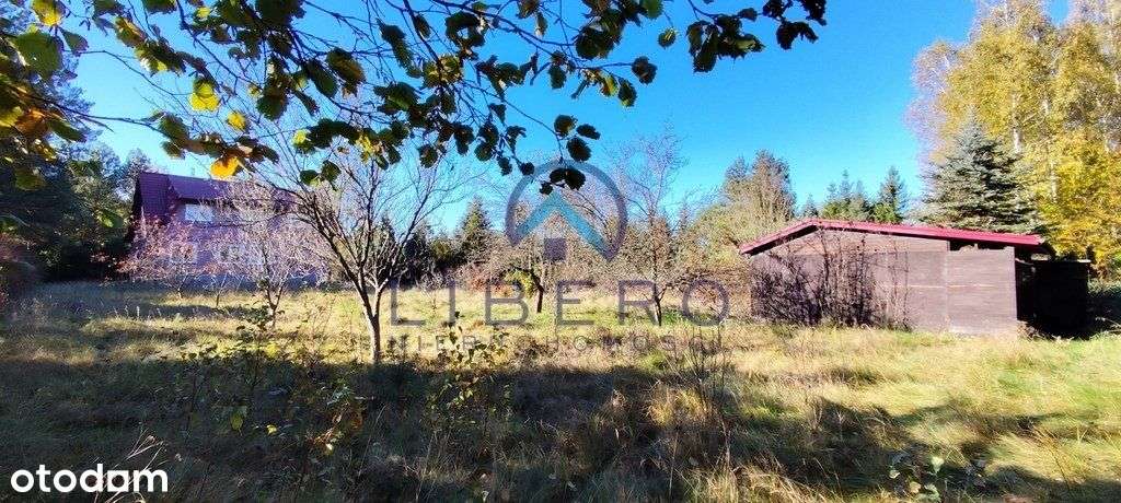 Solidny, duży dom (6 pokoi) blisko Narwi i lasów-5