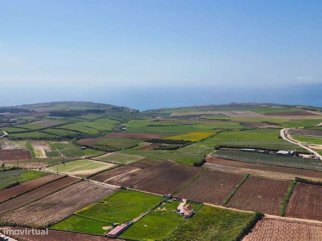 Venda de 2 Terrenos Agrícolas na zona do Paimogo, Lourinhã-24