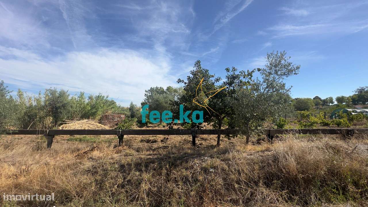 Terreno em Ladoeiro-43
