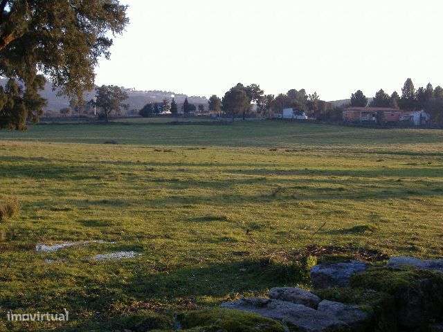 Quinta em Chaves Terreno 50 Ha (500 mil M2) Construção 1.593 m2-21