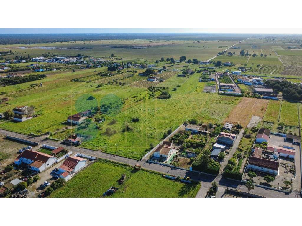 Construa duas casas num terreno único de 12.900m² em Arraiados-7