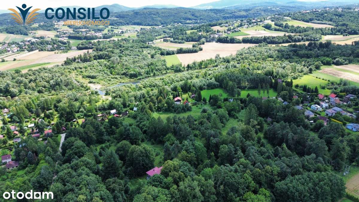 Posiadłość z willą i zabytkowym parkiem - Pełny obrazek: 4/20