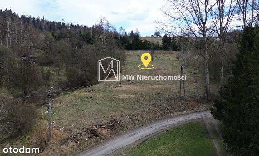 Widokowa działka budowlana Las, Beskid Mały-9