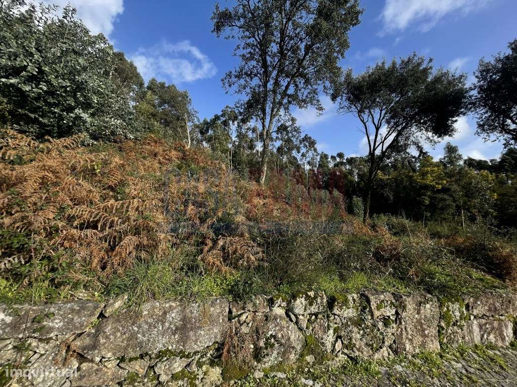 Terreno para Venda Centro de Grimancelos, Barcelos - Grande imagem: 3/26