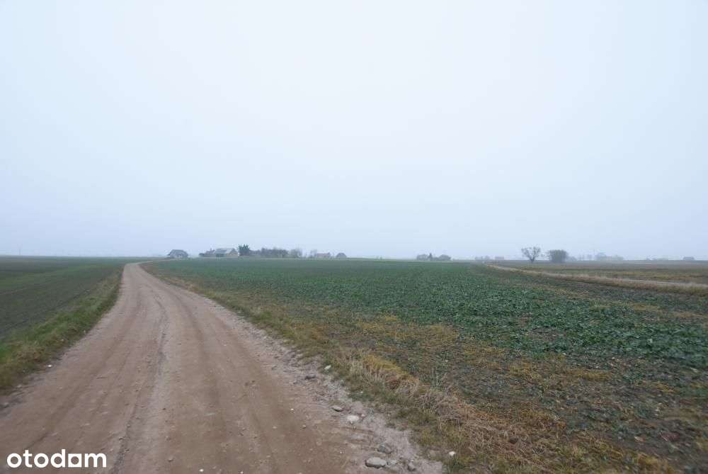 Działka budowlana możliwość budowy 3 domów BRZOZA/Niepruszewo-6