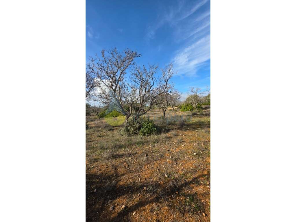 Terreno Rústico com 3730m2 em Guia, Albufeira - Grande imagem: 5/12