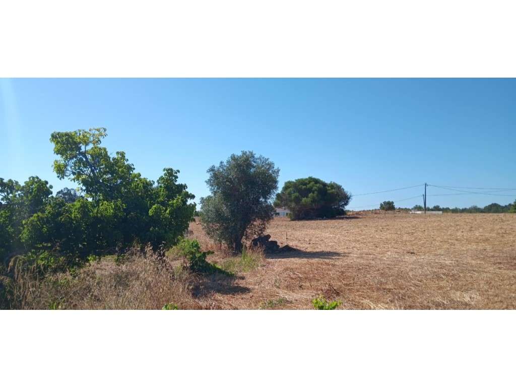 Terreno Rústico 8.480 m² Odiáxere, Lagos - Grande imagem: 2/13