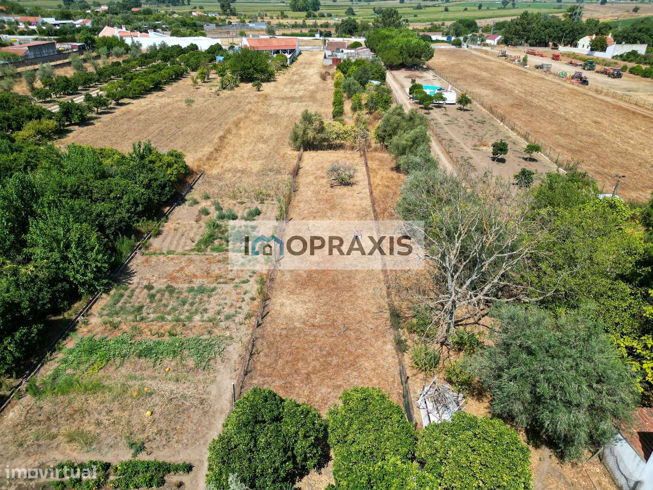 Quintinha T4 na Carregueira no Concelho da Chamusca, Ribatejo - Grande imagem: 5/33