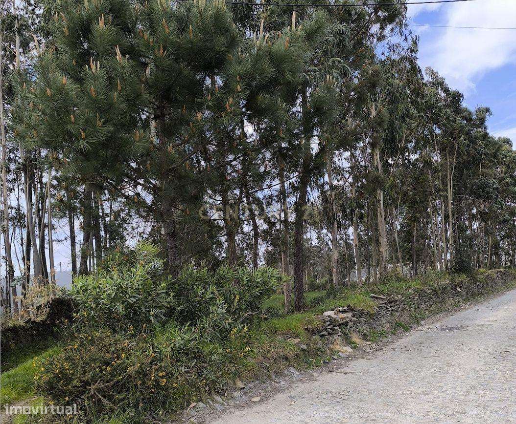 Terreno rústico com 1.750 m², situado em Fão, Esposende - Grande imagem: 4/7