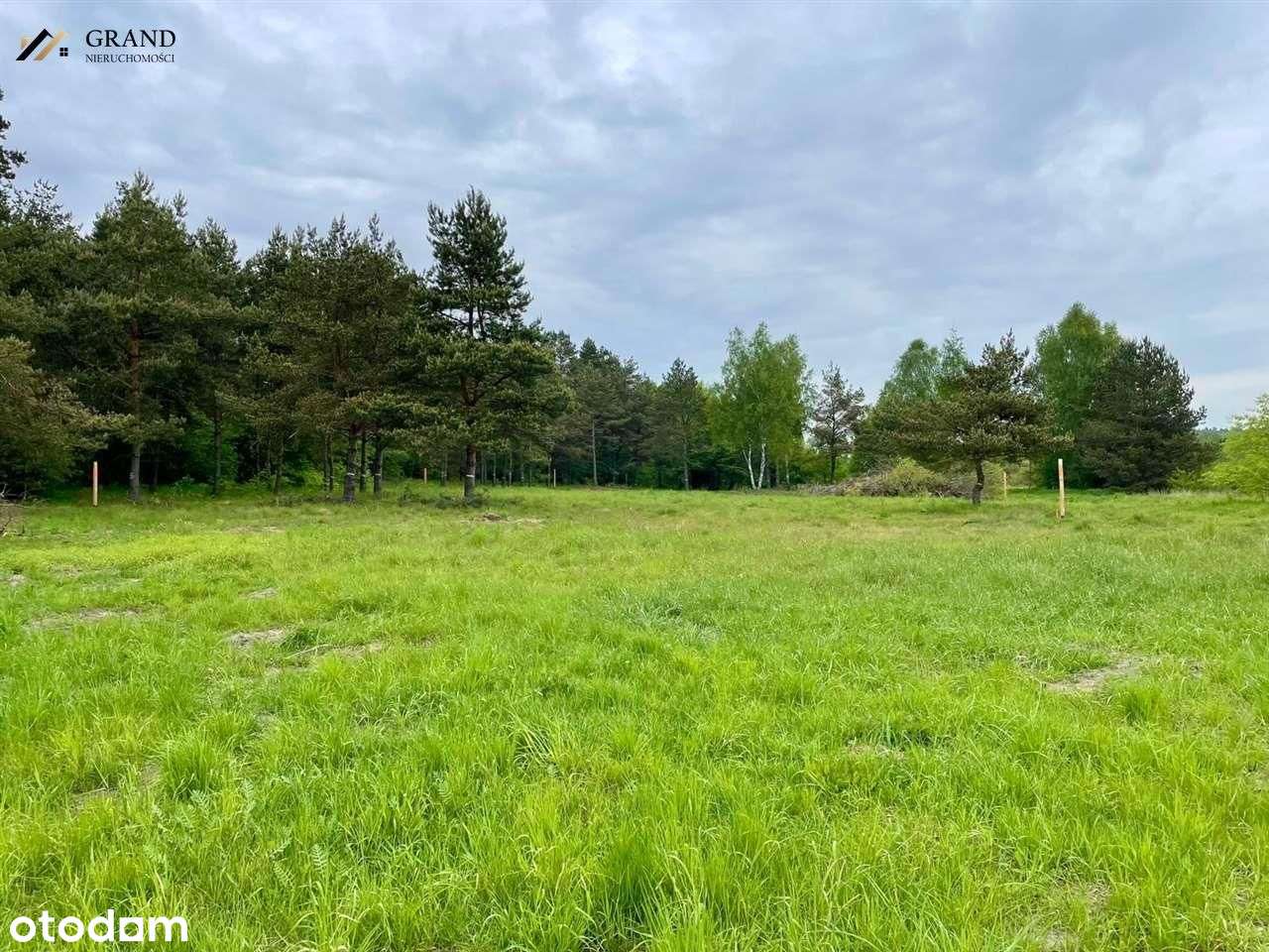 Działka przy lesie pod budownictwo jednorodzinne- - Pełny obrazek: 5/8
