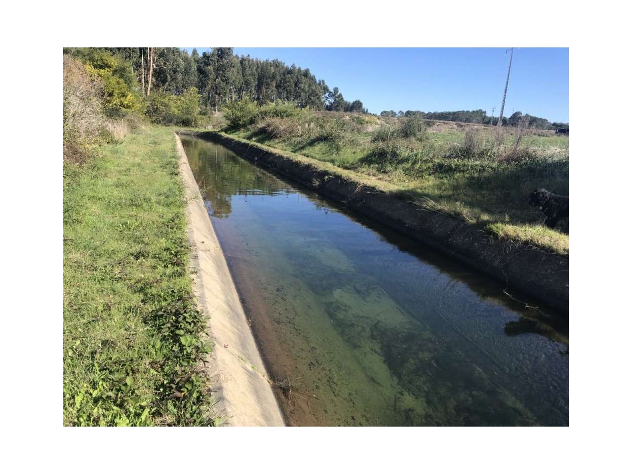 Quinta com grande área de construção perto do mar - Grande imagem: 5/5