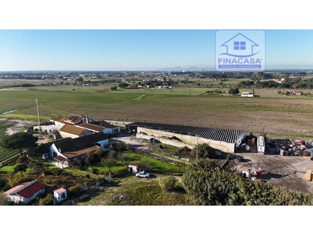 EXCLUSIVO - Quinta com 2069 m2, T1 e um armazém - Asseiceira(Palmela)-47