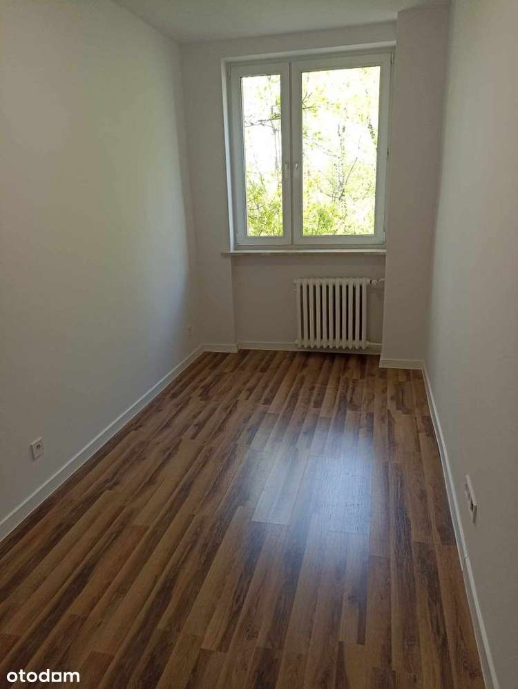 trzy pokoje, balkon, po generalnym remoncie, Franc-3