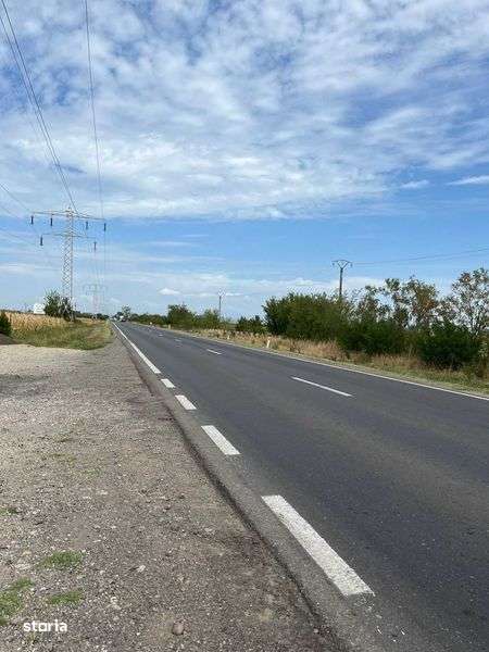 Teren extravilan 5000mp,deschidere 20m DN71,Bratesti,langa Pepiniera - Imagine principală: 4/4