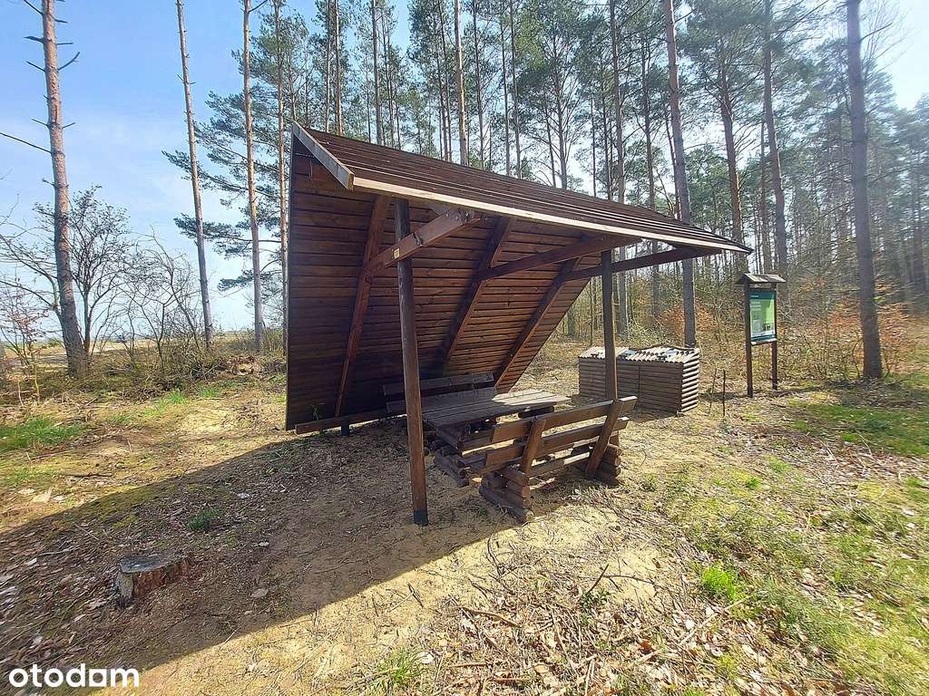 Działki na granicy Baczyna/Marwice miejscowy plan!-17