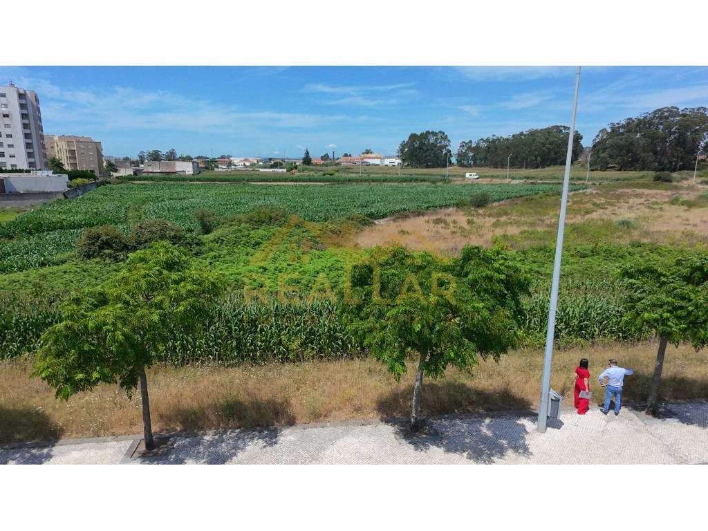 Excelente Oportunidade de Investimento: Terreno para Construção em ...-16