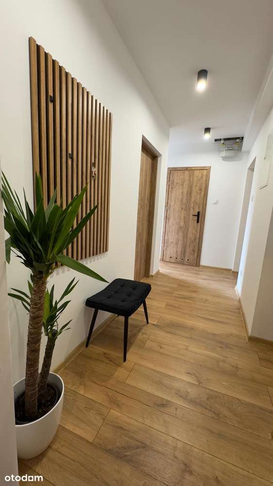 Po generalnym  remoncie, 3pokoje, wysoki parter, niski czynsz! - Pełny obrazek: 2/12