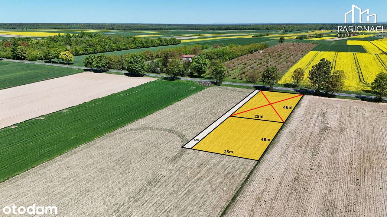 Działka na sprzedaż, Niemce - Pełny obrazek: 3/6