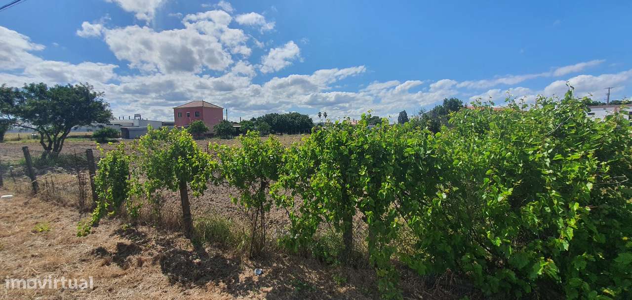 Quinta  5000m2 Viver no Campo Com a Cidade Por Perto Passil Alcochete-8