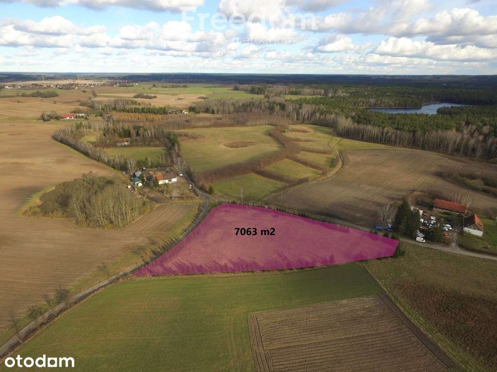 Działka na sprzedaż 20min od Olsztyna - Pełny obrazek: 5/7