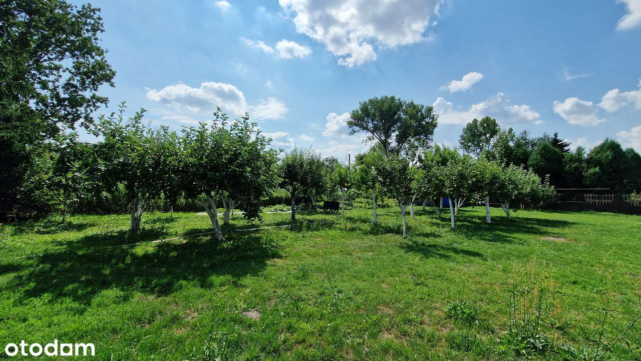 DOM JEDNORODZINNY Z DUŻĄ DZIAŁKĄ I STAWEM – MAŁYSZYN, GM. WIELUŃ-13