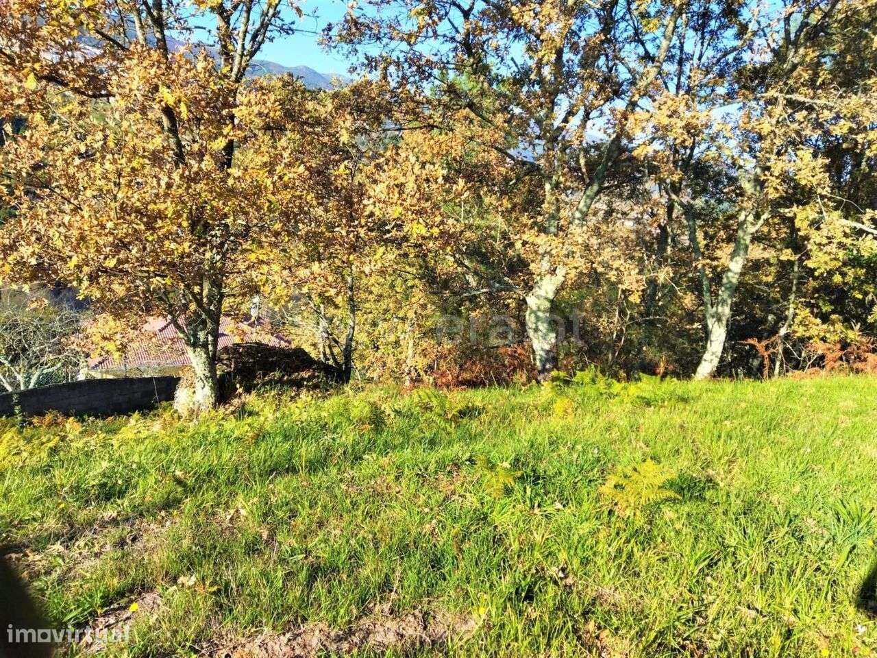 Terreno / Baião, Campelo e Ovil - Grande imagem: 2/5