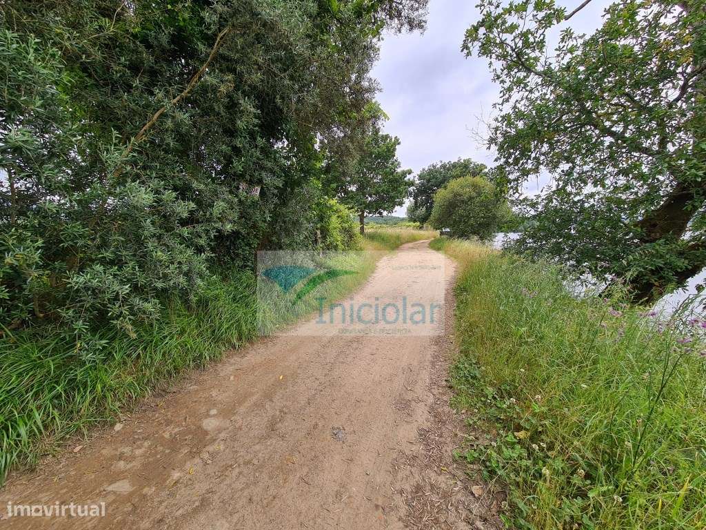 Terreno Rustico em frente ao Rio ( Ótimo para colocação de Autocara... - Grande imagem: 5/5