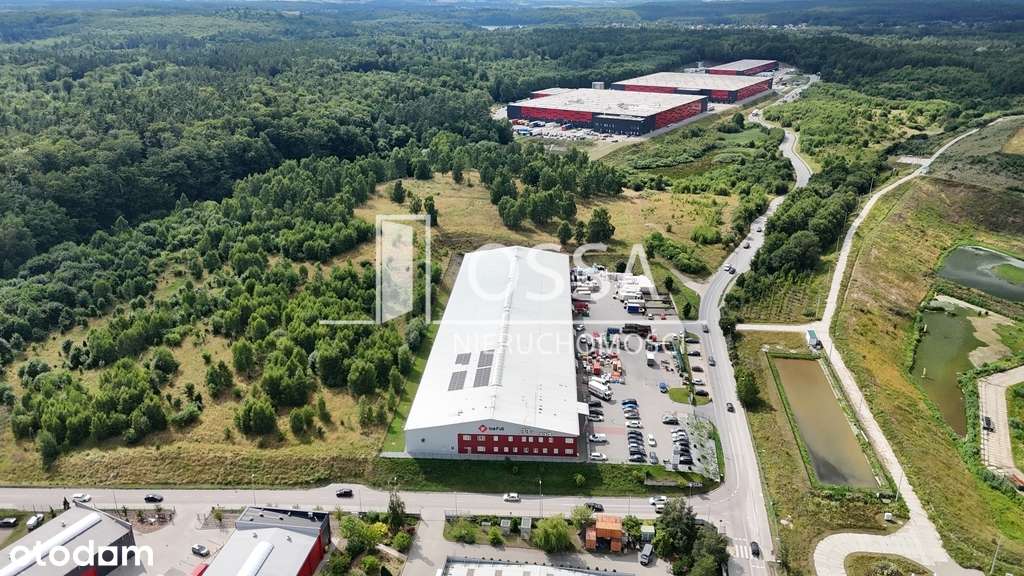 Magazyn 1500 - 4500 m² | Pierwsze 2 msc gratis - Pełny obrazek: 4/12