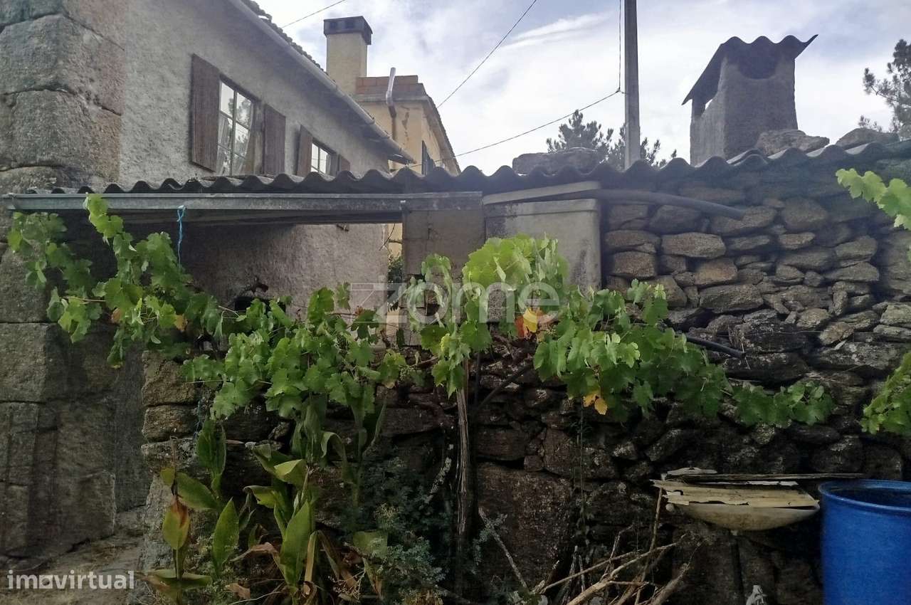 Quinta Única Encostada ao Rio Mondego – Um Refúgio Natural de Sonho... - Grande imagem: 4/42