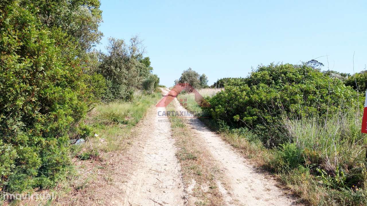 Terreno Rústico  Venda em Almoster,Santarém - Grande imagem: 2/3