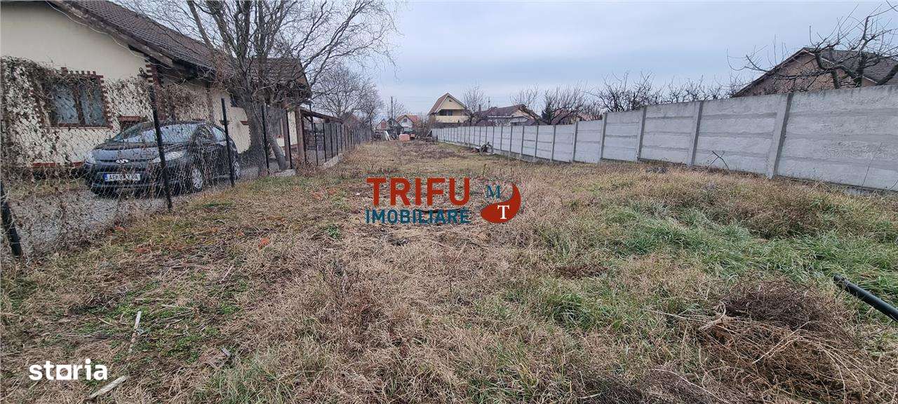 Teren de vanzare 600 mp Alba Micesti cu utilitati - Imagine principală: 1/3