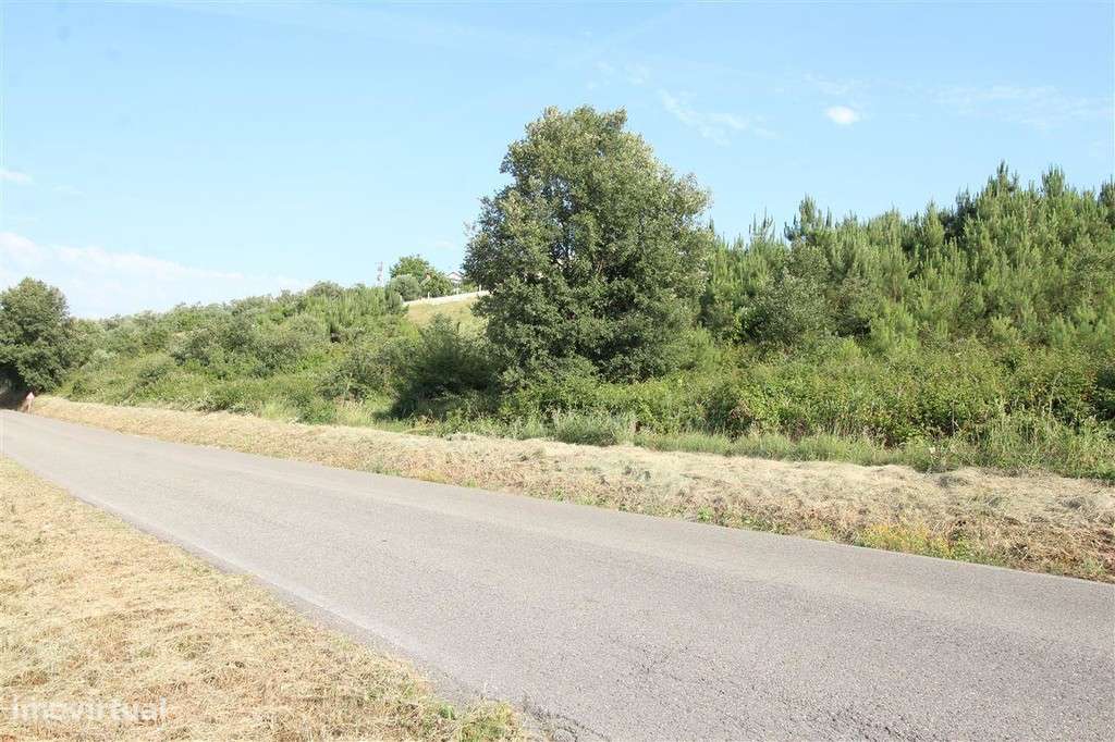 Terreno Para Construção, Soure, Soure - Grande imagem: 5/5