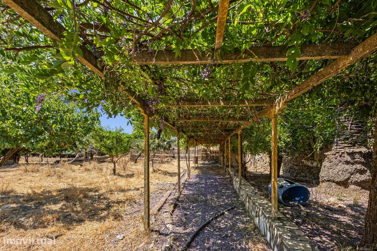 Quinta em Borba: projeto de enoturismo e vinha DOP, Alentejo-10
