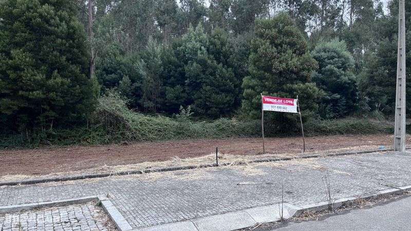 Terreno Urbano - Lote 500m2 - Grande imagem: 4/7