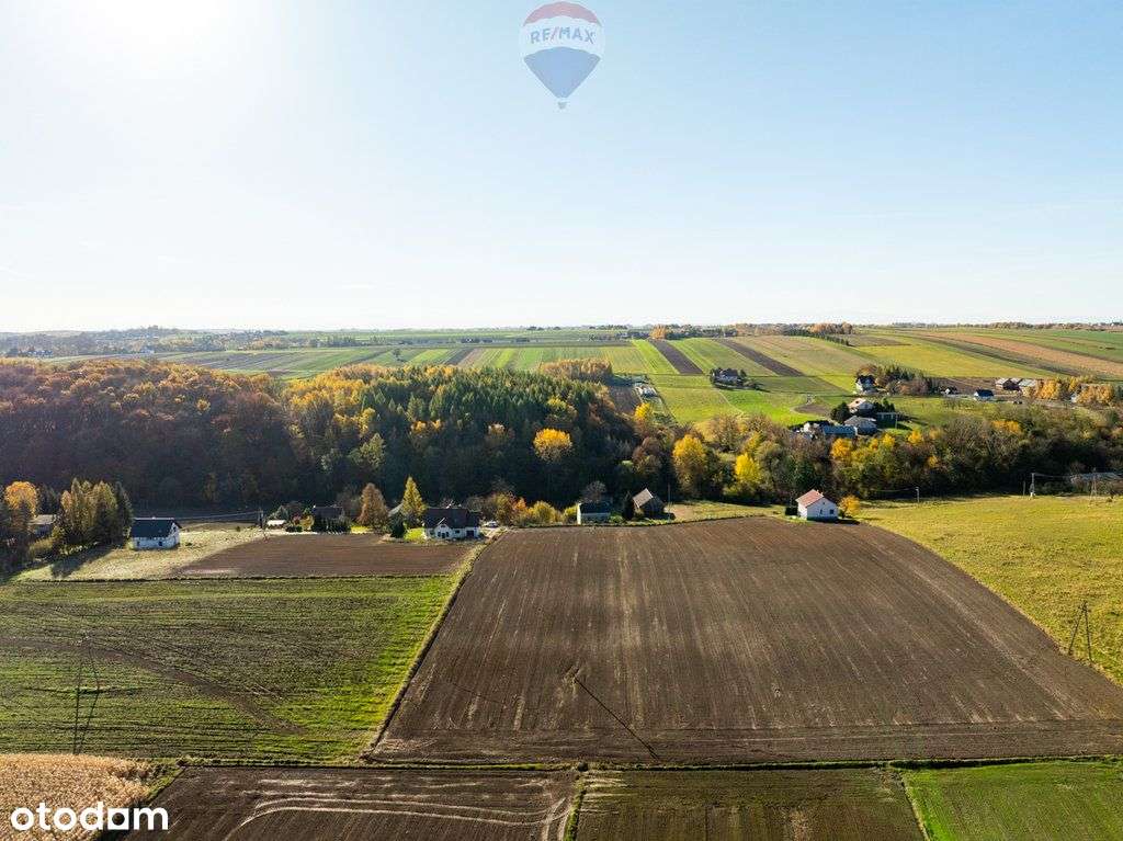 Dom z kawałkiem lasu i bijącym źródłem k\Skały - Pełny obrazek: 4/20