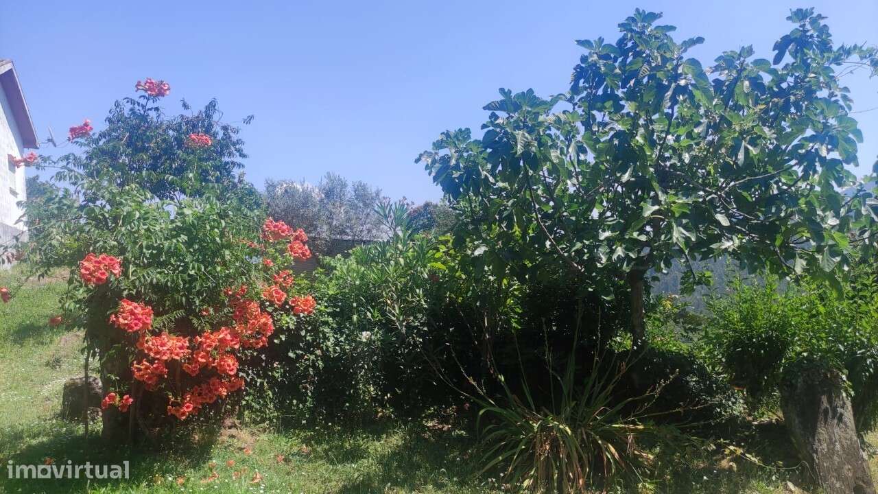 Casa/ Ruína em S. Miguel do Mato-12