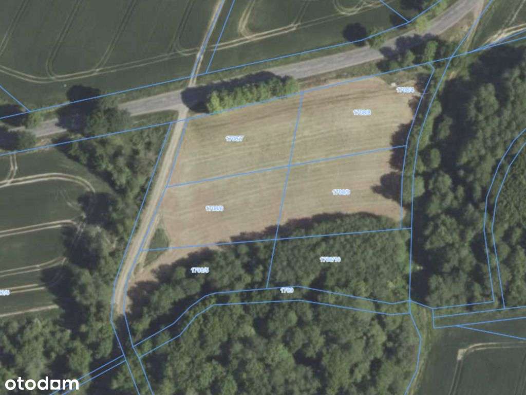 3 działki budowlane pod lasem - Pełny obrazek: 4/5