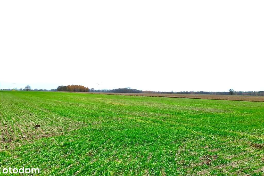 Działka rolno-leśna w pięknej okolicy!