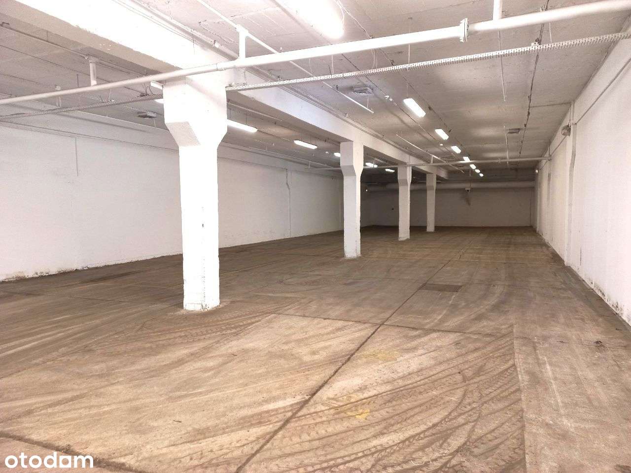 Bezpośrednio, powierzchnia magazynowa 485m2 - Pełny obrazek: 3/5