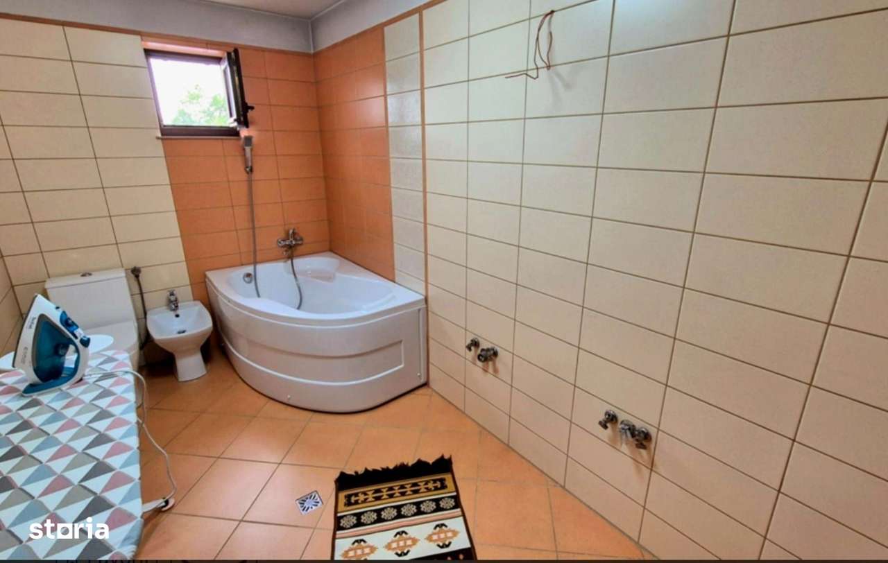 Cauți o casă mare sau spațiu pentru business? Aici le ai pe ambele!-16