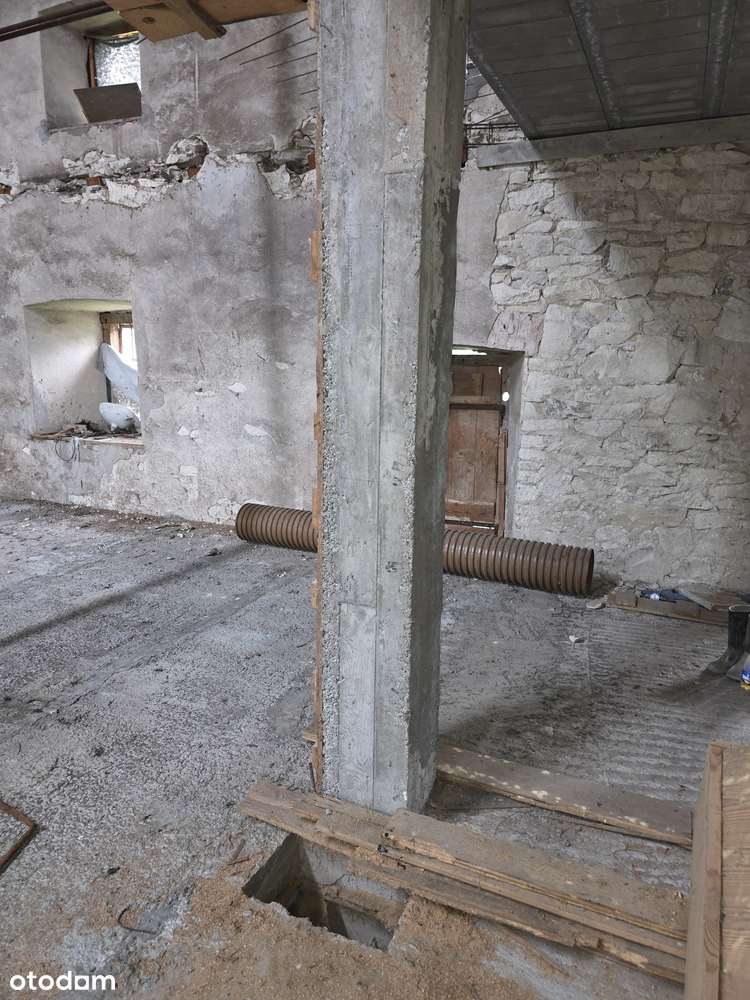 Zabytkowy Młyn, budynki gospodarcze, rzeka, las-19