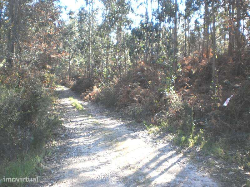 Terreno para construção de 23.000€ em Gião - Vila do Conde - Grande imagem: 2/7