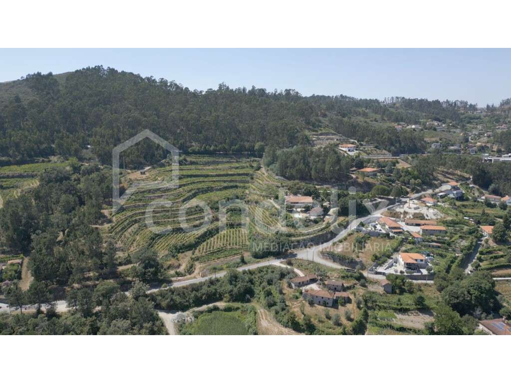 Quinta - Herdade Amarante - Grande imagem: 5/60