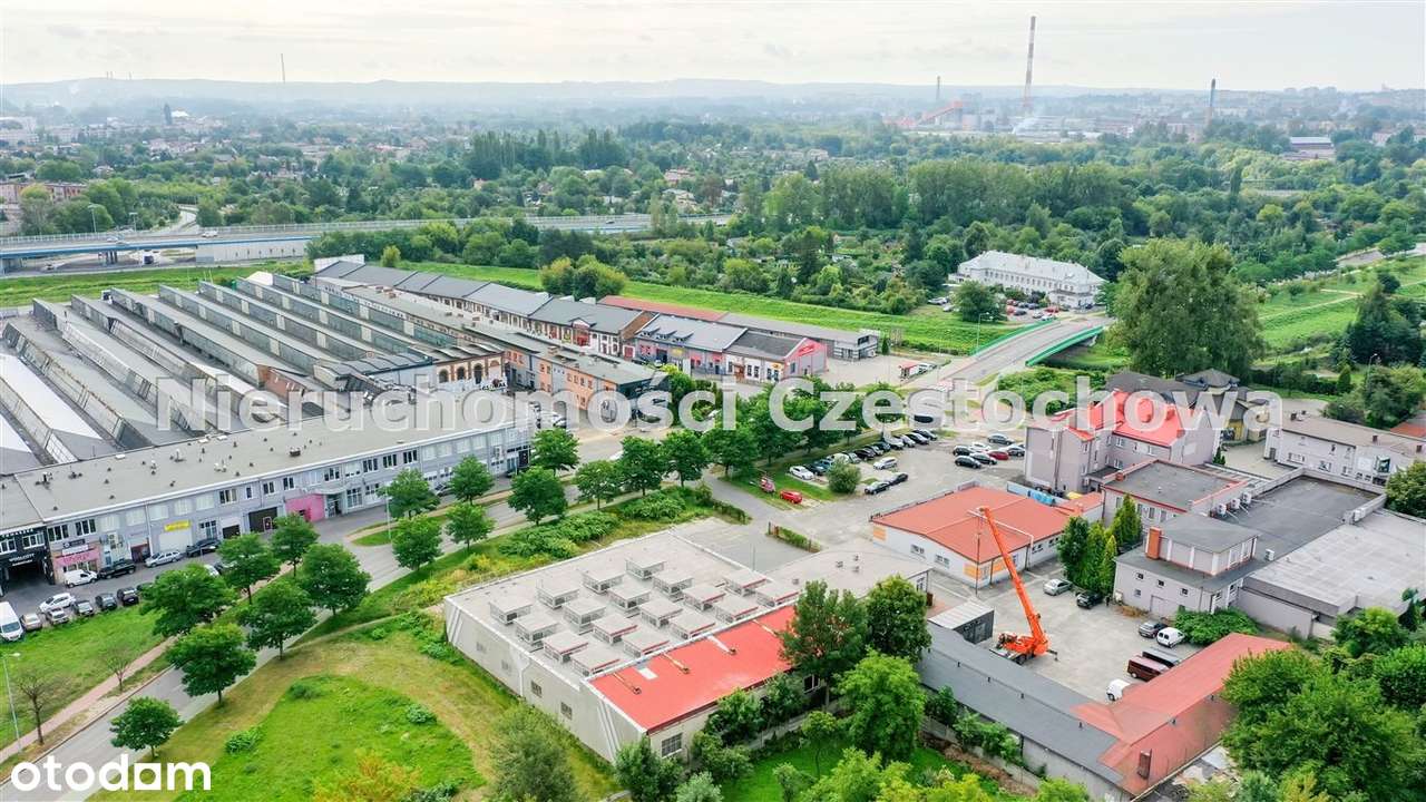 Hala Krakowska - Pełny obrazek: 5/11