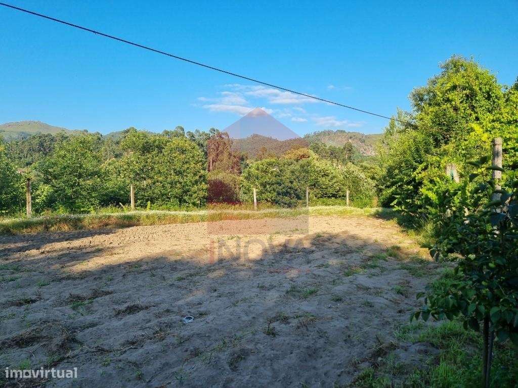 Terreno agrícola, Pico - Grande imagem: 5/12