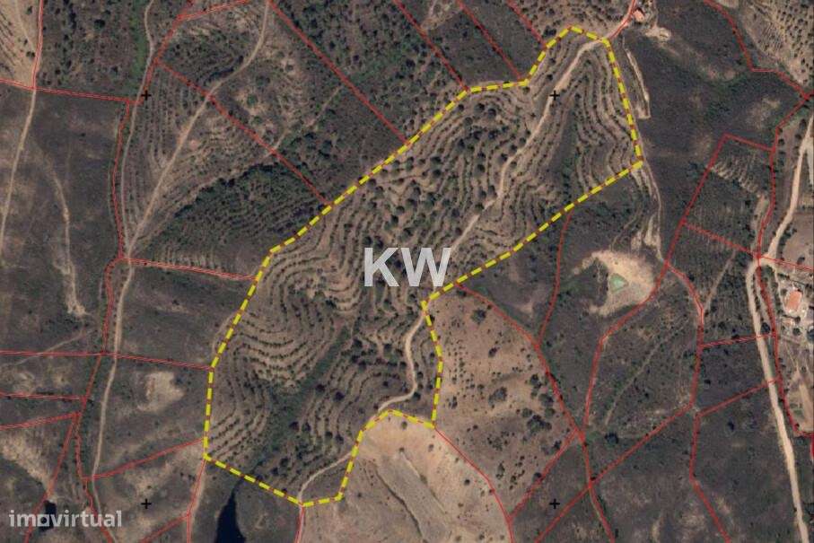 Terreno Rústico com 82860 m2 sito em Matosos, São Bartolomeu de Messin - Grande imagem: 2/3
