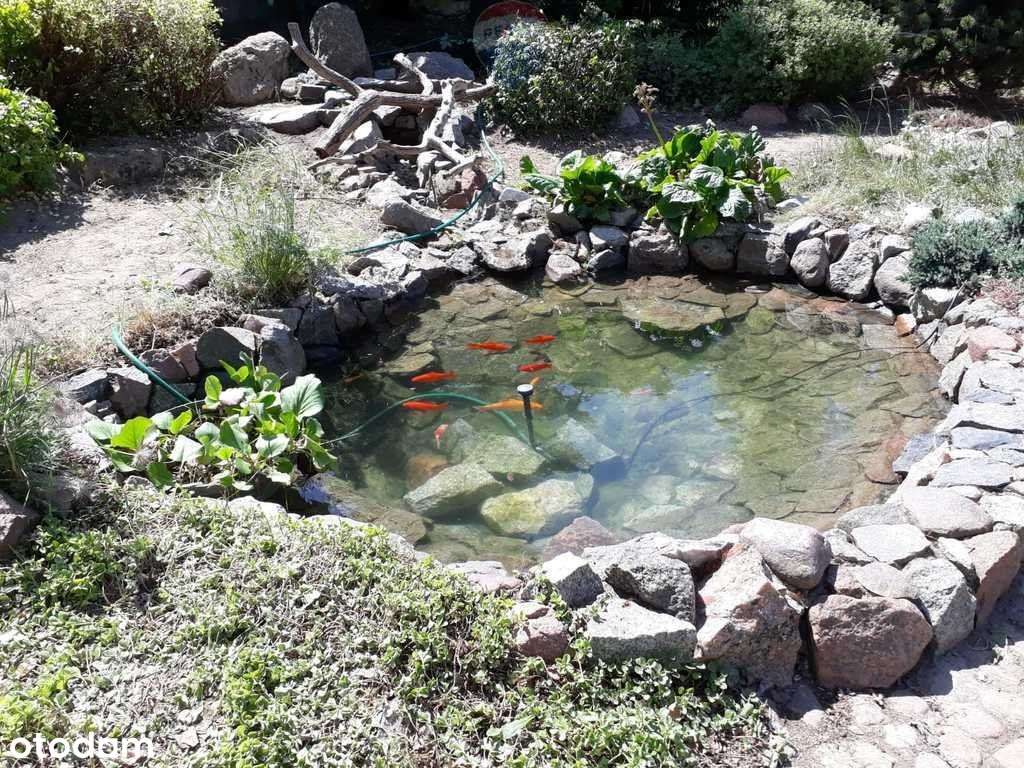 Piękna działka - Pełny obrazek: 2/17