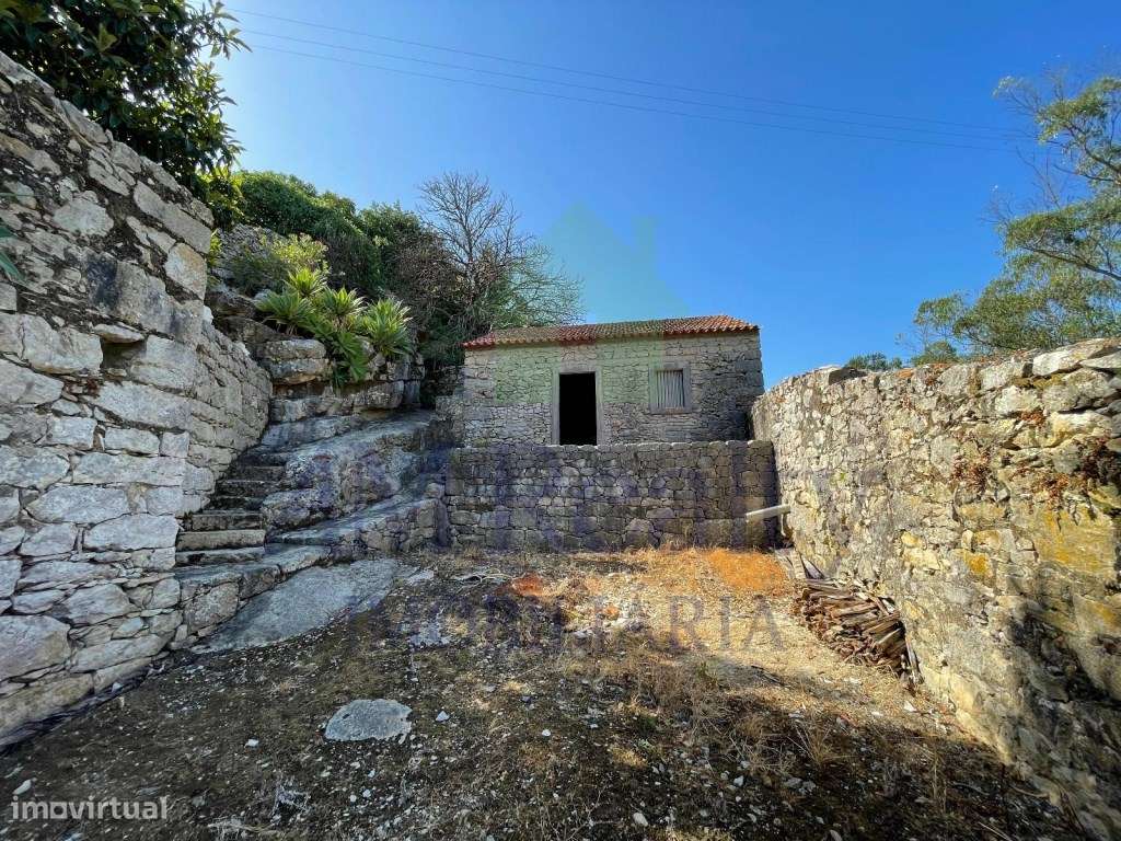TERRENO RÚSTICO COM CASA AGRÍCOLA EM PEDRA|REGUENGO GRANDE|LOURINHÃ - Grande imagem: 5/30