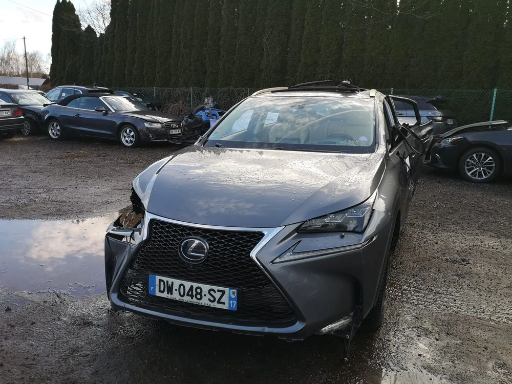 Lexus NX I 300h E-FOUR Executive Line 2015